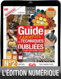 TELECHARGEMENT : Le Guide des Techniques oubliées