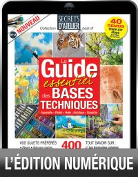 TELECHARGEMENT : Le Guide du dessin et de la peinture, les bases techniques