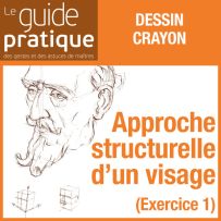 Exercice 1 : approche structurelle d'un visage - Guide Pratique Numérique