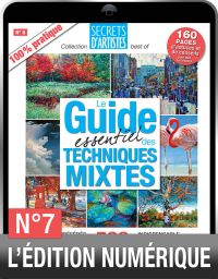 TÉLÉCHARGEMENT - Le Guide des TECHNIQUES MIXTES
