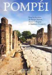Pompei - Pascal Charvet, Annie Collognat, Stéphane Gompertz - Éditions Bouquins