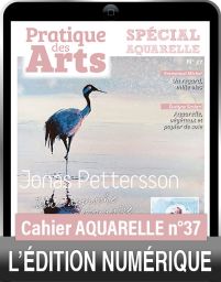 TÉLÉCHARGEMENT - Cahier spécial AQUARELLE n°37 - Pratique des Arts