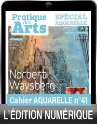 TÉLÉCHARGEMENT - Cahier spécial AQUARELLE n°41 - Pratique des Arts