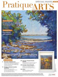 Cahier spécial PASTEL n°63 - Pratique des Arts