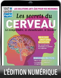 TELECHARGEMENT : Les secrets du cerveau - Tout Savoir Psycho 2