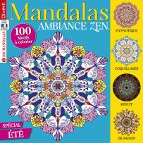 Mandalas Ambiance Zen 13 - 100 motifs à colorier - Diverti Editions