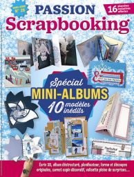 15 mini-albums d'exception avec des idées originales, des structures inédites et des pas-à-pas détaillés - Achat sur magazine Divertistore