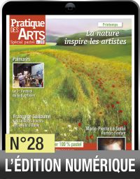 L'édition numérique du Cahier pastel n°28 de Pratique des Arts, à lire sur votre tablette, ordinateur ou smartphone