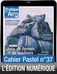 pastel numerique Pratique des Arts
