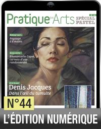 TELECHARGEMENT - Cahier spécial Pastel n°44 - Pratique des arts - Achat Diverti Store