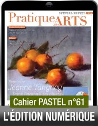 TÉLÉCHARGEMENT - Cahier spécial PASTEL n°61 - Pratique des Arts