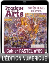 TÉLÉCHARGEMENT - Cahier spécial PASTEL n°69 - Pratique des Arts