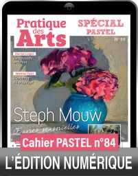 TÉLÉCHARGEMENT - Cahier spécial PASTEL n°84 - Pratique des Arts
