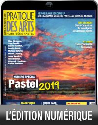 Spécial PASTEL Hors-série 50 Pratique des Arts - Achat magazine sur DivertiStore