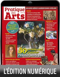 TELECHARGEMENT : 50 problèmes d'atelier résolus pas à pas - Pratique des Arts Hors-série 66