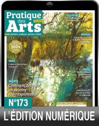TÉLÉCHARGEMENT : Pratique des Arts n°173 en version numérique