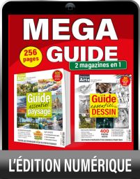 MÉGA GUIDE : Paysage et Dessin par Pratique des Arts