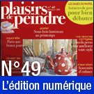 Téléchargement de Plaisirs de Peindre n°49