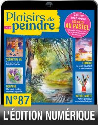 TELECHARGEMENT : Plaisirs de Peindre n°87 version numérique