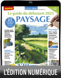 TELECHARGEMENT : Le guide du débutant  2025 PAYSAGE - Couverture