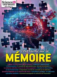Tout savoir sur la mémoire - Secrets du cerveau et pouvoirs cachés - Science et cerveau HS n°6 - Magazine de Diverti Editions