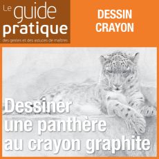 Dessiner une panthère au crayon graphite - Guide Pratique Numérique