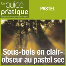 Sous-bois en clair-obscur, pastel sec - Guide Pratique Numérique