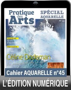 TÉLÉCHARGEMENT - Cahier spécial AQUARELLE n°45 - Pratique des Arts