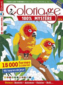 Coloriage 100% Mystère 14 - 15 000 formes à colorier - Magazine de Diverti Editions