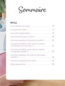 Page de sommaire du chapitre Vinyle détaillant le vocabulaire, les outils indispensables et les méthodes de transfert (charnière, mouillée, superposition).