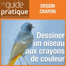 Dessiner un oiseau aux crayons de couleur - Guide Pratique Numérique