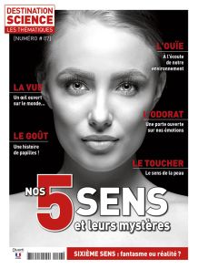 Comprendre les 5 sens