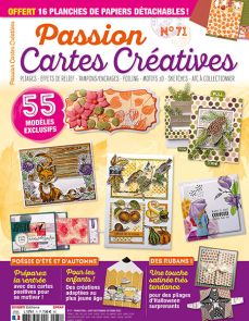 Pliages originaux, sketches, motifs, foiling, jeux de couleurs cartes créatives n°71