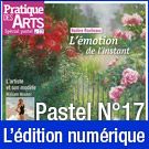 Téléchargement du Cahier spécial Pastel n°17 - Pratique des Arts