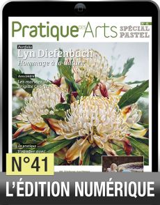 TÉLÉCHARGEMENT - Cahier spécial PASTEL n°41 - Pratique des Arts