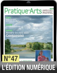 TELECHARGEMENT - Cahier Spécial Pastel 47 - Pratique des Arts - Achat Diverti Store