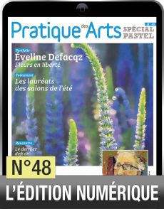 TELECHARGEMENT - Cahier Spécial Pastel 48 - Pratique des Arts - Achat Diverti Store