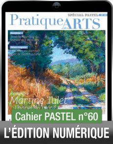 TÉLÉCHARGEMENT - Cahier spécial PASTEL n°60 - Pratique des Arts