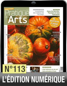 Profitez de la version numérique du magazine Pratique des Arts n°113