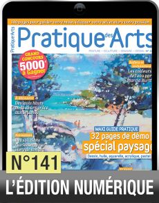 TELECHARGEMENT - Pratique des Arts 141 - Spécial paysage - Achat Diverti Store