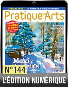TELECHARGEMENT - Pratique des Arts 144 - Avec un maxi Guide Pratique - Achat Diverti Store