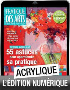 TELECHARGEMENT : Pratique des arts hors-série acrylique n°49 - Achat Diverti Store