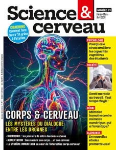Corps & cerveau, les mystères du dialogue entre les organes