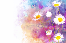 Beaux-Arts : Peindre des fleurs à l'aquarelle - conseils pour débutants Beaux-Arts : Peindre des fleurs à l'aquarelle - conseils pour débutants