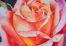 rose-a-l'aquarelle-pour-débutants