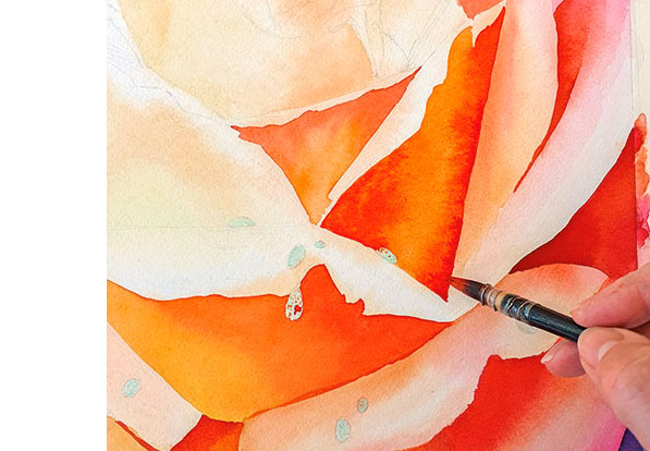 Ombres-colorees-petales-fleur