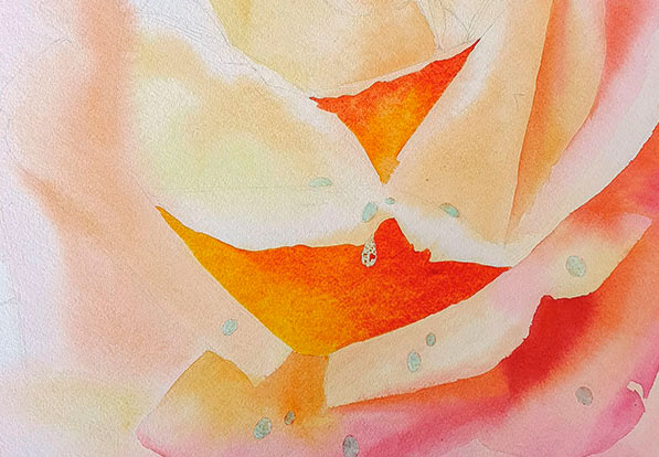 Assombrir-dessous-petales